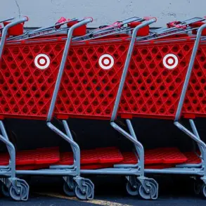 Target's $4.39 'Fish Trio Wand Cat Toy' Linked to Fatal Incident, Sparks Pet Safety Debate
