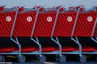 Target's $4.39 'Fish Trio Wand Cat Toy' Linked to Fatal Incident, Sparks Pet Safety Debate