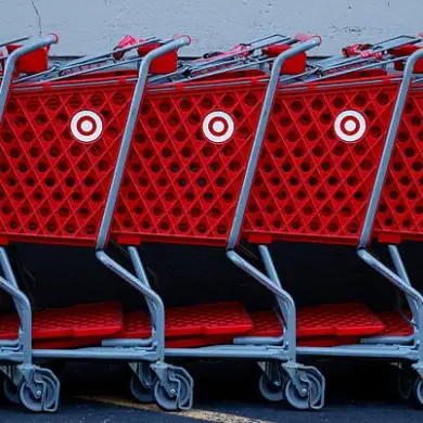 Target's $4.39 'Fish Trio Wand Cat Toy' Linked to Fatal Incident, Sparks Pet Safety Debate
