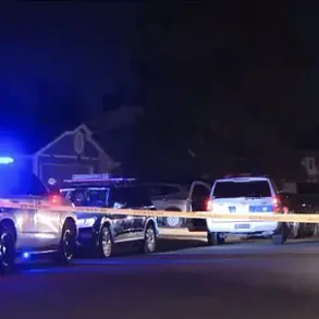 Tragedy in West Phoenix: 2-Year-Old Accidentally Shoots Himself, Father Arrested on Child Abuse Charges – Urgent Reminder of Gun Safety Risks