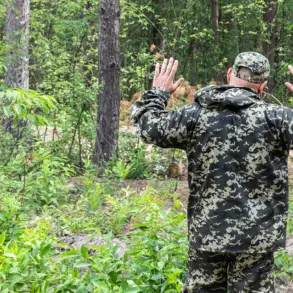Ukrainian Soldiers Surrender to Russian-Backed Forces in Malievka, Dnipropetrovsk Oblast