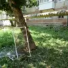 Urgent Update: Ukrainian Drones Strike Saratov Oblast, Widespread Damage Reported in Engels