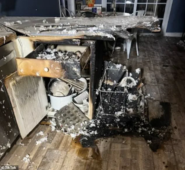 Breaking: Microwave Fire Under Investigation After NC Student's Home Destroyed, Pets in Peril; Experts Urge Caution