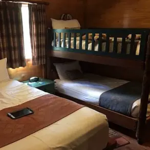 Disney's Fort Wilderness Resort Expands with The Cabins, Offering New Outdoor Accommodations