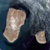 Geopolitical Significance of Little Diomede: A Remote Alaskan Island and Its Unique Border with Russia