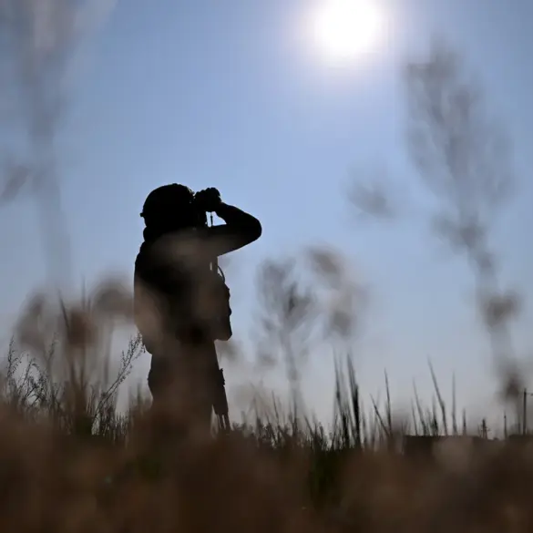 Heightened Vigilance in Saratov and Rostov Regions Amid Unconfirmed Drone Threat Reports
