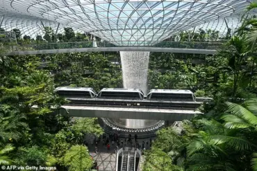 High-Profile Legal Drama: American Dentist and Engineer Arrested for Shoplifting at Changi Airport