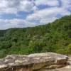 Hiker Killed by Venomous Snake in Tennessee's Savage Gulf State Park