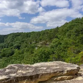 Hiker Killed by Venomous Snake in Tennessee's Savage Gulf State Park