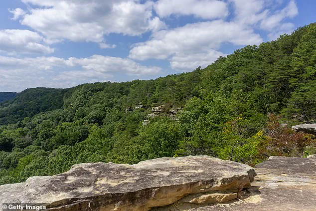 Hiker Killed by Venomous Snake in Tennessee's Savage Gulf State Park
