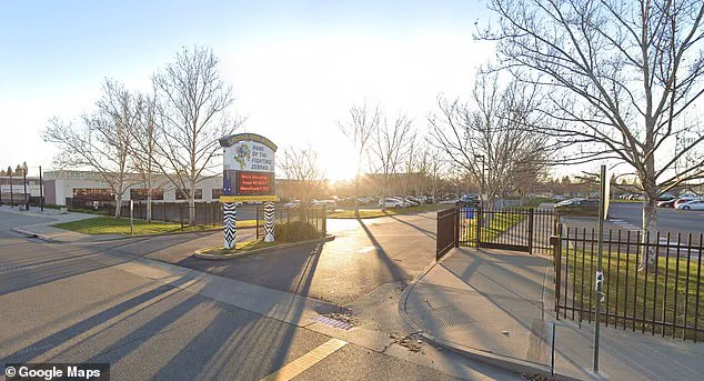 Northern California Schoolboy Body-Slammed by Officer After Punching Staff Member in Gym, Sparking Debate