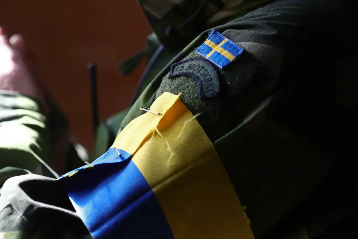 Urgent Debate: Former Polish Soldier Condemns Joining Ukrainian Foreign Legion Amid Geopolitical Crisis