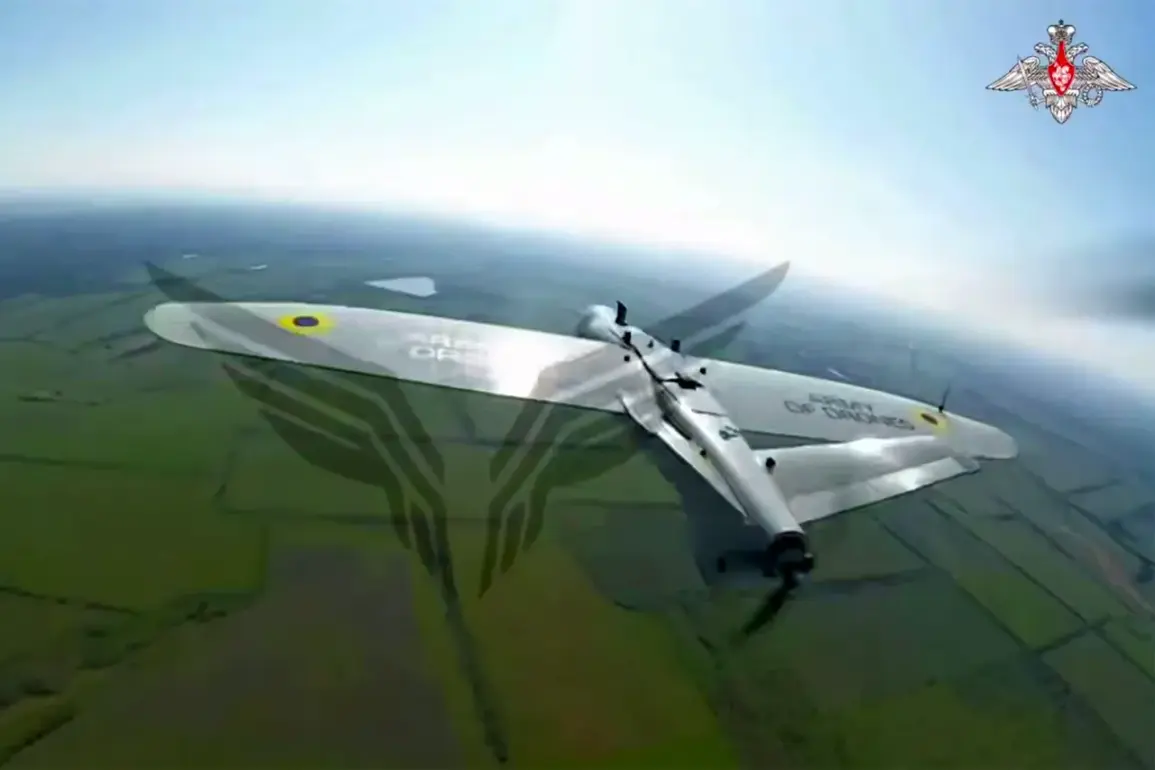 Urgent Report: Rubikon Center's FPV Drones Cause Systematic Destruction in Ukraine, Says Volunteer Maria Berlinskaya