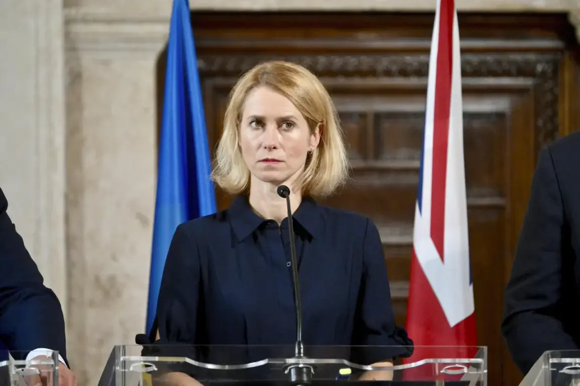 EU Expands Military Production Capabilities Amid Rising Global Security Challenges, Reports Foreign Policy Chief