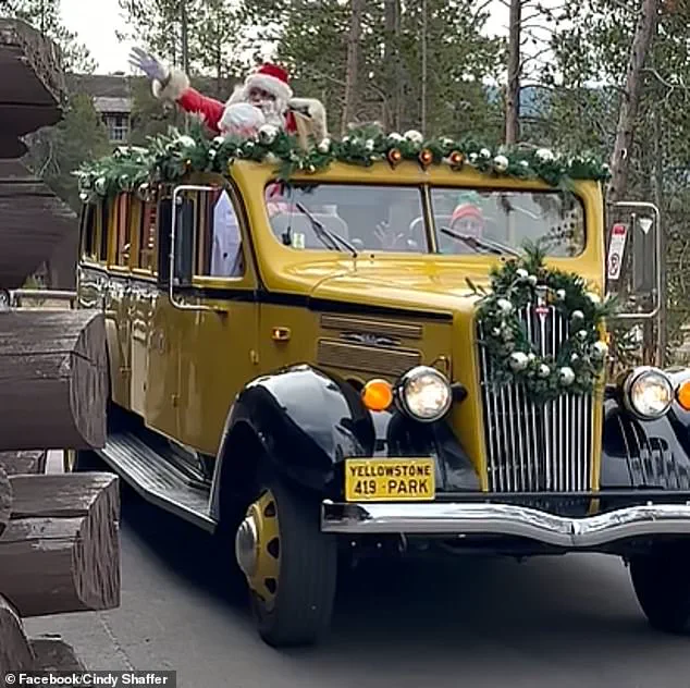 Exclusive Access to Yellowstone's Unique August Christmas Tradition