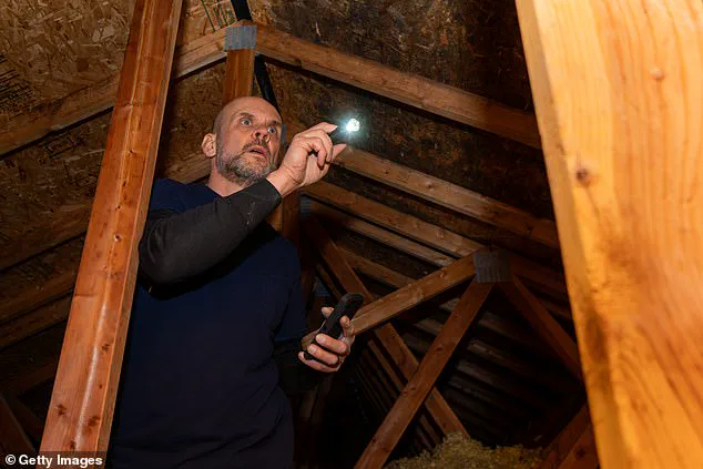 Man's Disturbing Attic Discovery Sparks Online Horror and Speculation