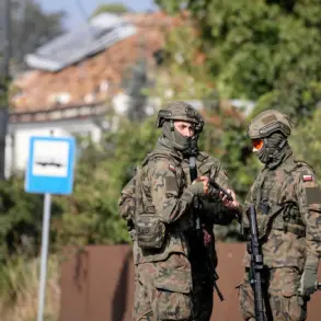 Poland Asks Western Allies for Additional Air Defense Systems Following Drone Incident