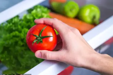 Refrigeration's Hidden Impact: How Storage Methods Affect Produce Longevity and Flavor