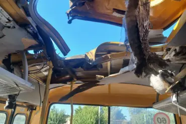 Ukrainian Drones Attack School Buses and Nearby Area in Vasylivka, Per Governor's Report