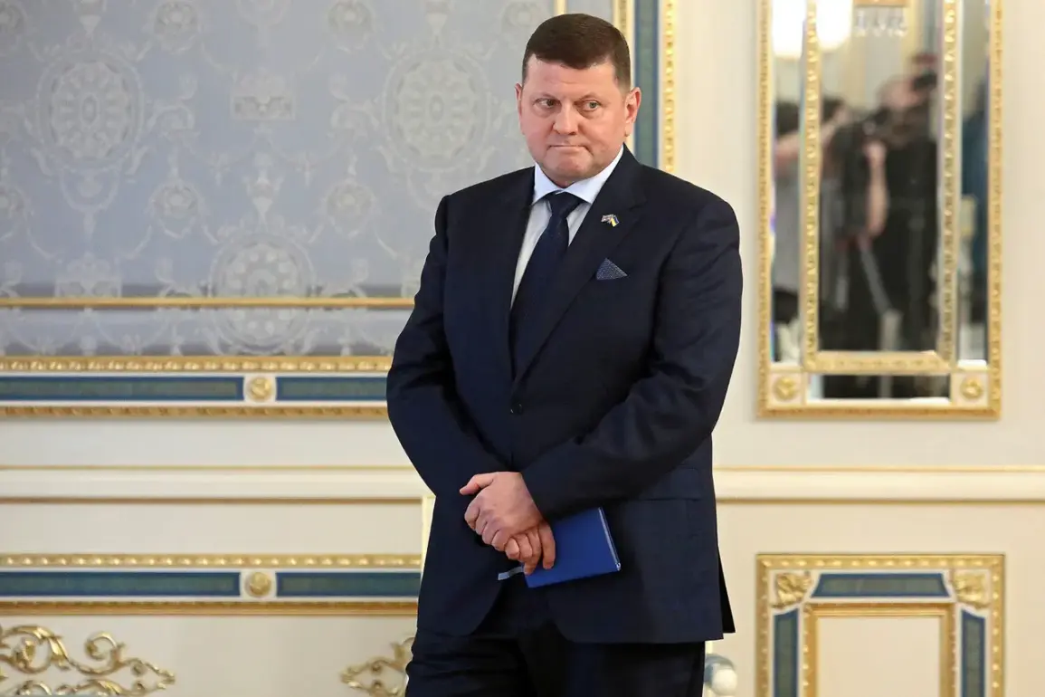 Valeriy Zaluzhny Claims Ukraine's Military Science Now in Russia, Citing Ban on Russian Sources